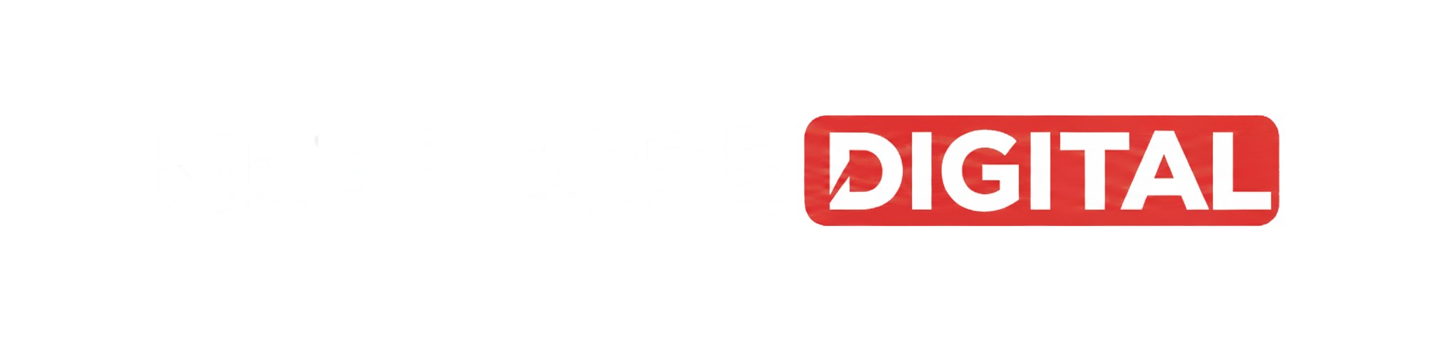 NetScopeDigital Logo